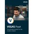 VEGAS Post 19 | Digital (ESD/EU)