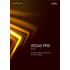 VEGAS Pro 16 Edit (Upgrade from older Version) | Digital (ESD/EU)